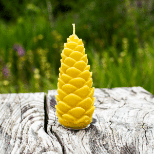 image of beeswax candle pinecone