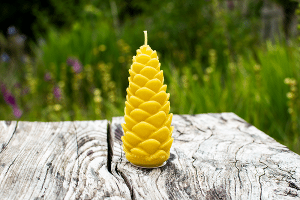 image of beeswax candle pinecone