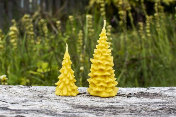 image of beeswax candles christmas trees
